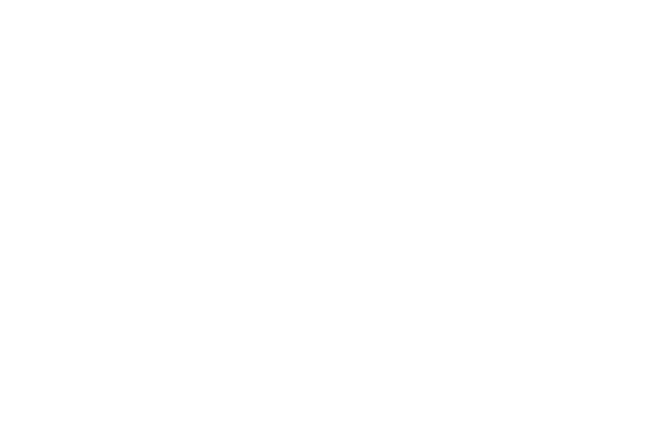 Holland Foundation For Sight Restoration Logo